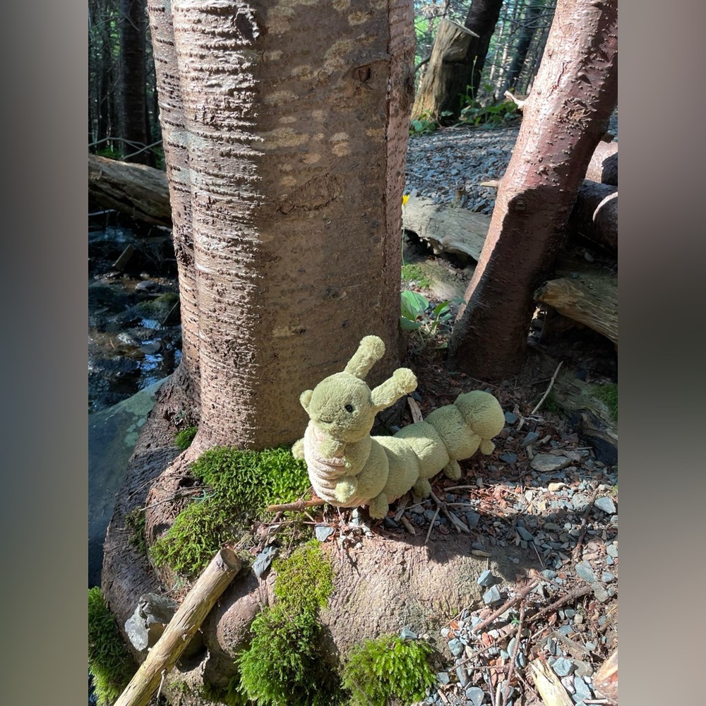 Jellycat Christopher caterpillar